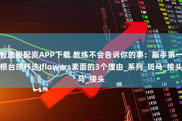 智选股配资APP下载 教练不会告诉你的事：新手第一根台球杆选Jflowers素面的3个理由_系列_斑马_接头