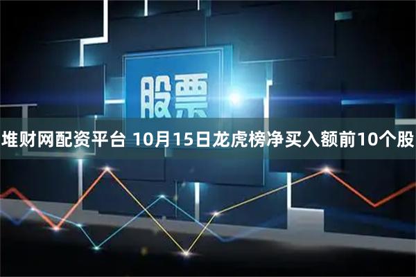 堆财网配资平台 10月15日龙虎榜净买入额前10个股