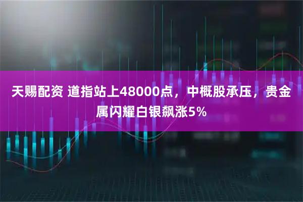 天赐配资 道指站上48000点，中概股承压，贵金属闪耀白银飙涨5%