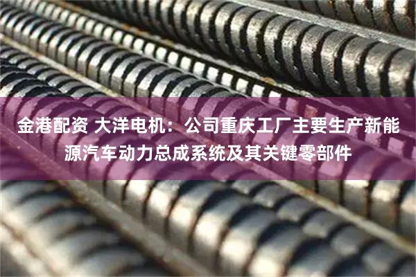 金港配资 大洋电机：公司重庆工厂主要生产新能源汽车动力总成系统及其关键零部件