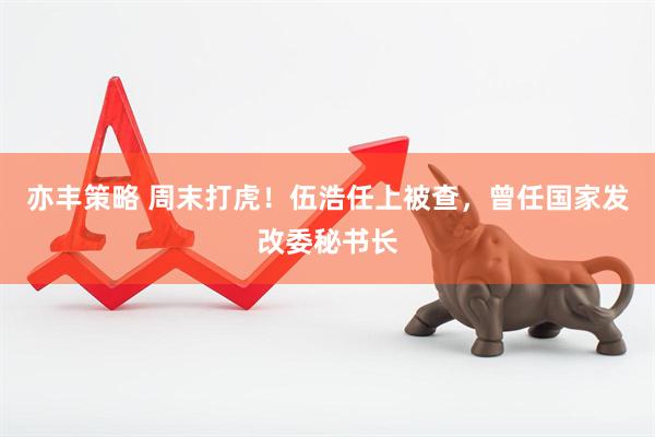 亦丰策略 周末打虎！伍浩任上被查，曾任国家发改委秘书长